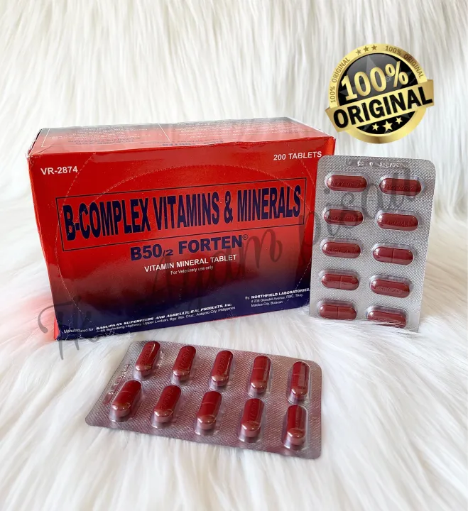 B50 FORTEN B Complex Vitamins dan Minerals BOX Lazada Indonesia