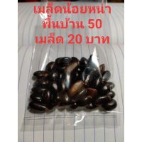 เมล็ดน้อยหน่าพันธุ์พื้นบ้าน50เมล็ด/20บาท
?เมล็ดพร้อมปลูก
#เมล็ดน้อยหน่า #เม็ดน้อยหน่า #น้อยหน่า #ต้นน้อยหน่า #เมล็ดน้อยหน่าพื้นบ้าน #เม็ดน้อยหน่า #น้อยหน่าพันธุ์ละมุด