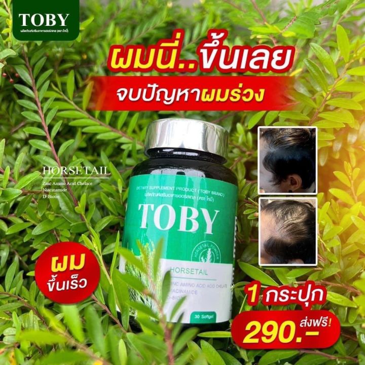 toby-หญ้าหางม้า-วิตามินคนผมร่วง-ผมบาง-ฟื้นฟูบำรุงรากผมให้แข็งแรง-ลดอาการคันหนังศ