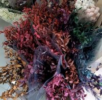 ดอกไม้แห้ง ใบยูคาลิปตัส ใบแหลม preserved พร้อมส่ง 6 สี ราคากำละ 350 บาท