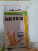 เมล็ดพันธุ์ข้าวโพด  NK 6848  3หุน (เม็ดเล็ก)  สู้แล้ง   ผลผลิตสูง  เหมาะกับพื่นที่แล้ง