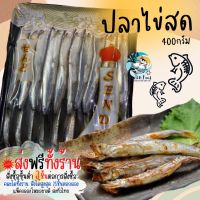 3แพ็คส่งฟรีทั้งร้าน? ปลาไข่สด 400กรัม (19-20ตัว) พร้อมส่ง (ราคานี้ต่อ 1แพ็ค) ? ปลาไข่ชิชาโมะ ปลาไข่ ปลาไข่ญี่ปุ่น ปลาไข่ชุบเกล็ด ปลาไข่ทอด ปลาไข่ชุบแป้ง ?สั่งซื้อ 3 แพ็คขึ้นไป ส่งฟรี ?? 1-2แพ็คมีค่าส่ง