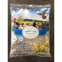 ซังข้าวโพดลองพื้น Giant cob สำหรับสัตว์เลี้ยง ขนาด1กิโล พร้อมส่ง [COD]