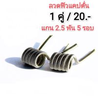 ลวดพันสำเร็จ ลวดไฟฟ้า ลวดเอเลี่ยน/ฟิวแคปตั่น 1คู่ (2ชิ้น)