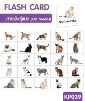 แมว (Cat breeds) จำนวน 25 ใบ ขนาด A5
ด้านหน้า รูปภาพ
ด้านหลัง คำศัพท์ภาษาอังกฤษ