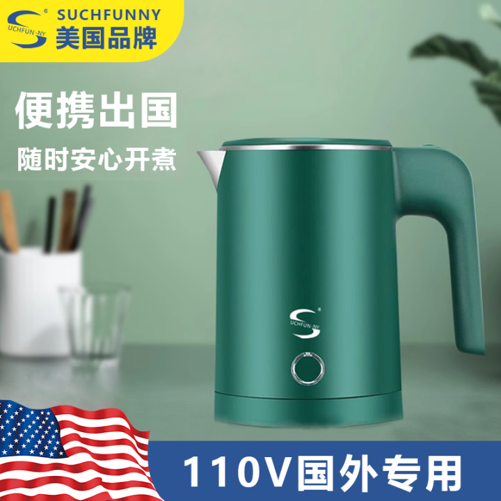 V Electric Kettle Travel Abroad America Japan Canada Portable Small