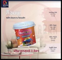 สีเดลต้าทาภายนอกและภายใน (DELTA)