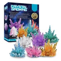 ?Kids learning?DIY Stem Crystal Growing ของเล่นวิทยาศาสตร์ ทำคริสตัล ทำต้นไม้ ของเล่นแนวสาธิต