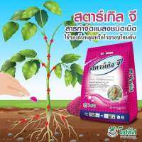 สตาร์เกิล จี

สารสำคัญ : ไดโนทีฟูแรน ( dinotefuran).................................1% GR

กลุ่มสาร : Neonicotinoid (กลุ่ม 4A)

คุณสมบัติ : 

     - สารกำจัดแมลงชนิดดูดซึม สำหรับรองก้นหลุมหรือโรยรอบโคนต้นหลังปลูก