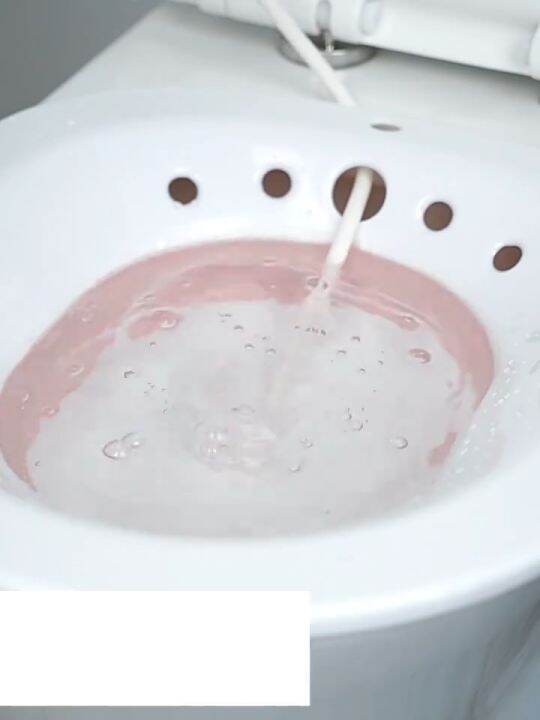 Sitz Bath Tub Basin Pregnant Toilet Seat Besen Women Tangas Postpartum Hemorrhoid Perineum