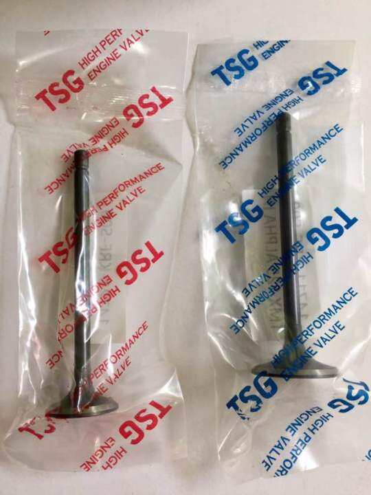 TSG Engine Valve Tmx 125 Alpha / Tmx 155 CDI Lazada PH