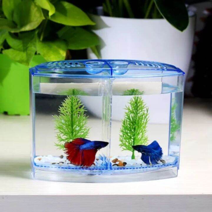 Double Betta Tank | Lazada PH