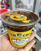 มินิโกโก้ ครั้นช์ Choc Crunch มินิช็อคโกแลต ขนมช็อกโกแลต โกโก้ครั้นเคลือบช็อคโกแลต ช็อคโกแลต ช็อกโกแลต ชอคโกแลต โกโก้ เข้มข้น ขนมชอคโกแลต