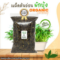 เมล็ดต้นอ่อนผักบุ้ง Organic100% เมล็ดพันธุ์ผัก เมล็ดสำหรับเพาะงอกพร้อมปลูก ต้นอ่อนผักบุ้ง