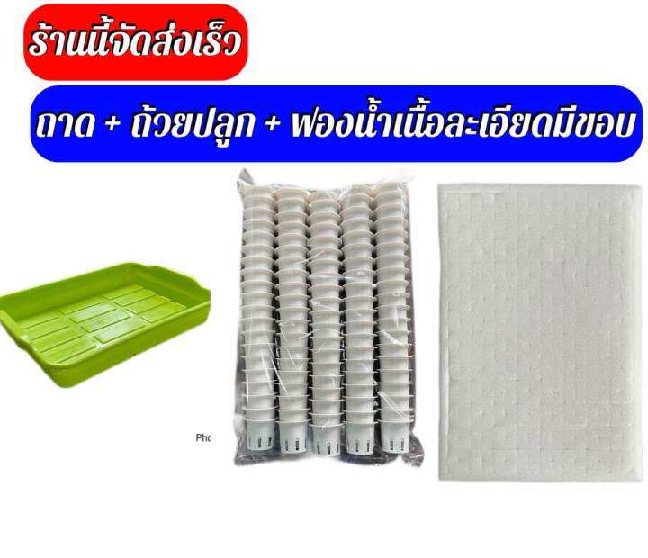 ถาดเพาะ-ถ้วยปลูก-100ใบ-ฟองน้ำเนื้อละเอียด-1-แผ่น-จัดส่งทุกวัน