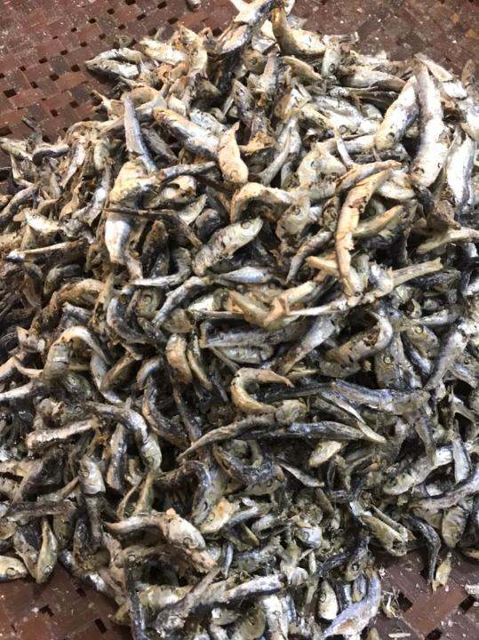 Ikan Asin Lemet Rebus Super Gram Lazada Indonesia