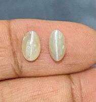 2.96cts คริสโซเบอริลแคทอายธรรมชาติ 7.5x4.5มม. 1 คู่ 2.96cts natural chrysoberyl catseye 7.5x4.5mm pair