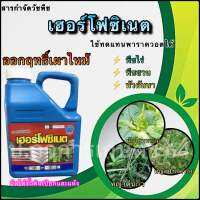 กลูโฟซิเนต แอมโมเนียม ตราเฮอร์โฟซิเนต (น้ำสีฟ้า) ขนาด 4 ลิตร กำจัดวัชพืชไม่เลือกทำลาย ตายทุกหญ้าแน่นอน‼️ ของแท้100% การันตีได้เลย