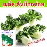 เมล็ดเบบี้ บ๊อกฉ่อย บ๊อกฉ่อย บบรจุ 200-300เมล็ด