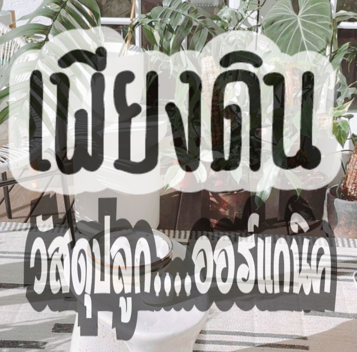 ถุงละ2กิโล-ซื้อ5-ถุงแถมฟรี-1ถุง-ทรายหยาบสำหรับผสมดินปลูกแคคตัส-ดินปลูกต้นไม้