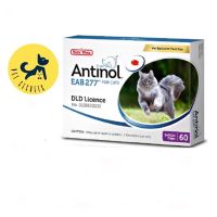 Antinol  For Cat 60 Cap ( อาหารเสริมบำรุงข้อสำหรับแมว 1กล่อง บรรจุ 60 เม็ด )