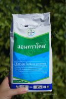 แอนทราโคล 500 กรัม โพรพิเนบ 70% สารป้องกันกำจัดโรคใบจุดสีน้ำตาล โรคใบไหม้ โรคแอนแทรคโนส โรคราน้ำค้าง โรคเมลาโนส