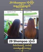 Twenty 9 Shampoo - တရော်ကင်ပွန်းခေါင်းလျှော်ရည်