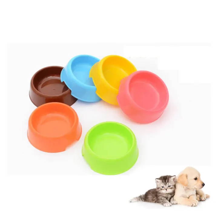 are plastic dog bowls safe