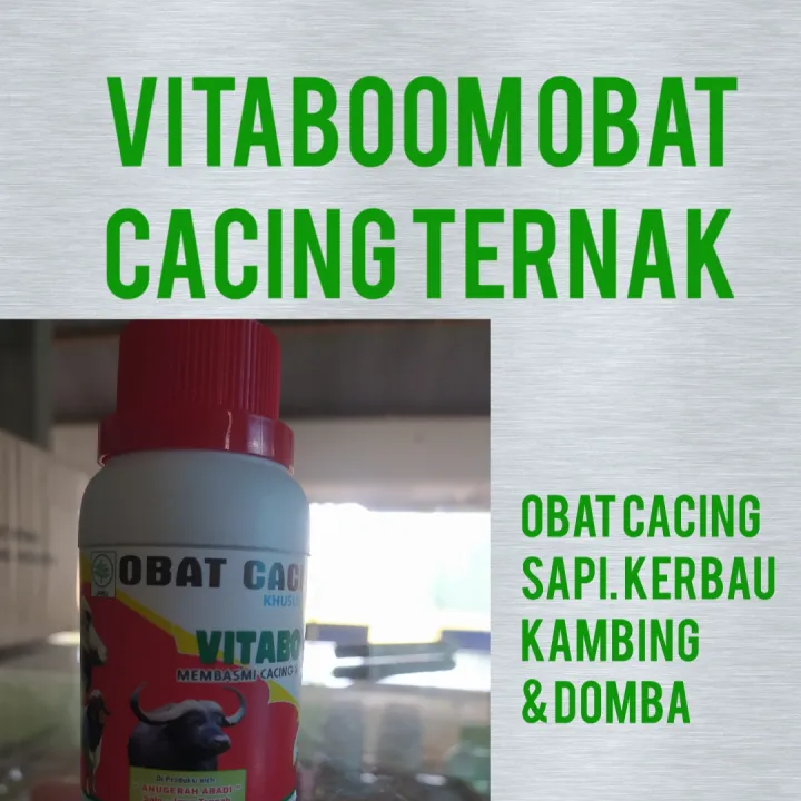 VITABOOM OBAT CACING TERNAK PADA SAPI KAMBING KERBAU & DOMBA NETTO 125 ...