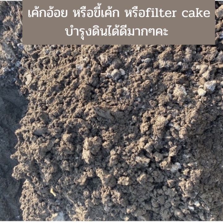 เค้กอ้อย-หรือขี้เค้ก-หรือfilter-cake-วัสดุผสมดินปลูก-1-กก-ยังไม่ตีป่น-มีลักษณะเป็นก้อน