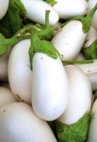 เมล็ดพันธุ์มะเขือขาวอิตาเลียน คลาร่า ไวท์ Clara Italian White Eggplant Seed เมล็ดพันธุ์แท้คุณภาพดี นำเข้าจากต่างประเทศ