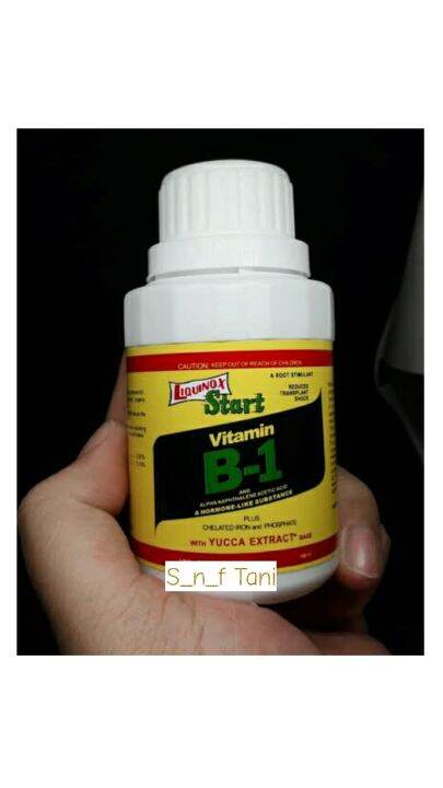 Vitamin B1 Liquinox Start B-1 Anti Stres Untuk Tanaman Isi 100ML ...