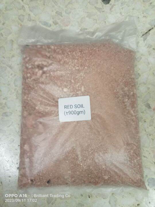 Red Burnt Soil for Flowering Plants Lazada