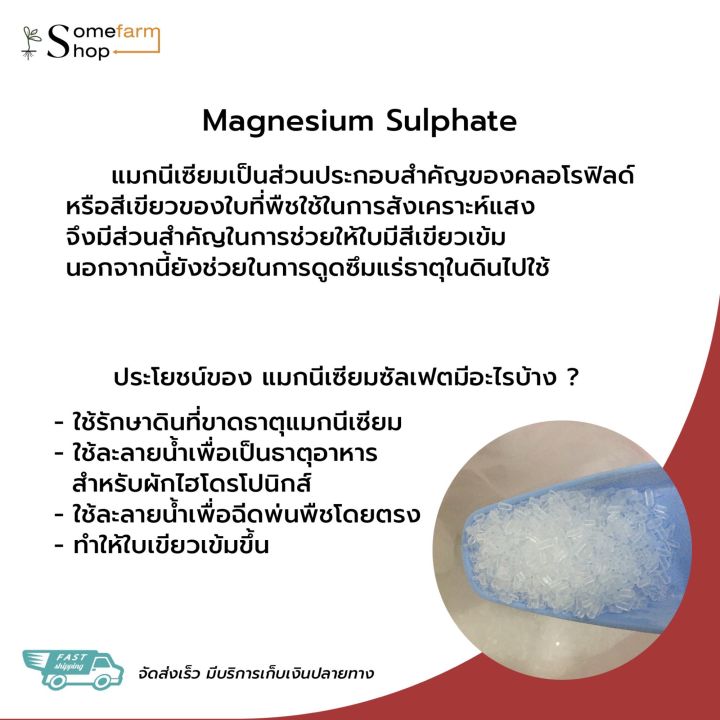 แมกนีเซียมซัลเฟล-magnesium-sulphate