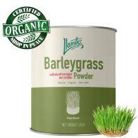 ?Organic Barley Grass Powder ผงข้าวบาเลย์ ผงใบอ่อนข้าวบาร์เลย์ ออร์แกนิค เกรดพรีเมี่ยม  100% ขนาด 250 กรัม