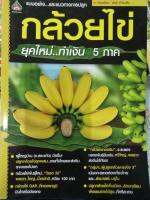 หนังสือกล้วยไข่ทำเงิน5ภาค