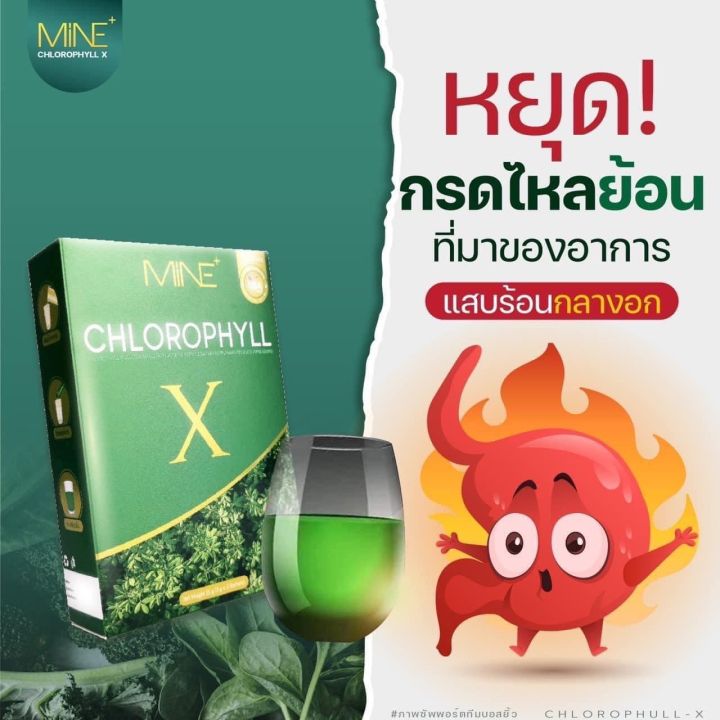 คลอโรฟิลล์มายมิ้น-คลอโรฟิลล์-x-mine-chlorophyll-x