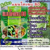 แมนโคโซบ80 ผงเขียว ปกป้องโรคพืชได้หลากหลายชนิด สร้างความต้านทานโรคให้พืช