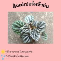 เปเปอร์หน้าย่น