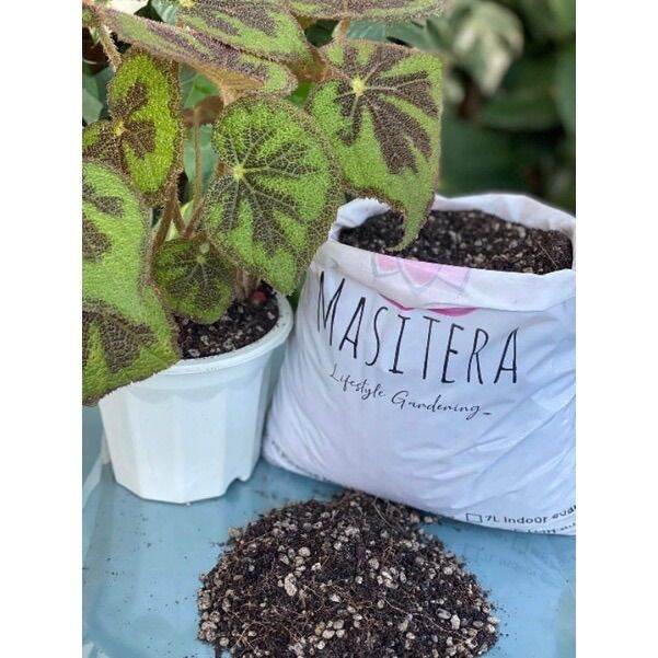 BEGONIA POTTING MIX ( for begonias only) Lazada PH