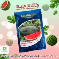 เมล็ดพันธุ์ แตงโมเมญ่า ตอปิโด แตงโมเมญ่า เจียไต๋ 40กรัม ? เมล็ดแตงโม แตงโมเจียไต๋ ของชุดใหม่มาแล้วจ้าาา ✨
**หมดอายุเดือน 7/2567
พร้อมส่งทุกวัน

เมล็ดพันธุ์แตงโม เมญ่า 
เจียไต๋ 
ขนาด 40กรัม/ซอง
ปลูกได้ป