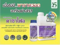 ดาซาโฟล4ลิตรคุม-ฆ่าหญ้าในไร่อ้อยกำจัดวัชพืชได้ทั้งใบแคบและใบกว้าง