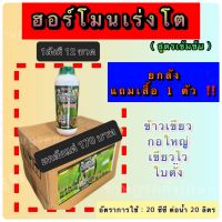 ✅️ยกลังฮอร์โมนข้าวเขียว✅️ 1ลิตร× 12ขวด เร่งต้น แตกกอใหญ่ ใบเขียวตั้ง (ขนาด 1L.)