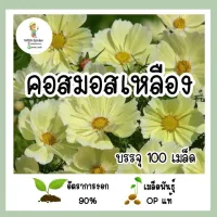 เมล็ดพันธุ์ คอสมอสสีเหลือง 100เมล็ด