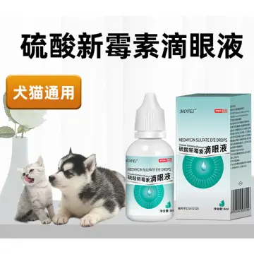 Neomycin eye drops outlet for dogs