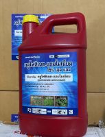 กลูโฟซิเนต 15%เอลแอล 4L. 1ลังมี6แกลอน 5,300(สิงห์เทพ) สารกำจัดวัชพืช กำจัดหญ้าใบแคบ ใบกว้าง กก หญ้าทุกชนิด