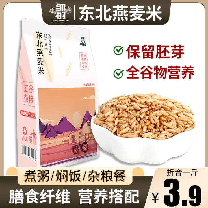 2.50kg Grains of Oats New Rice Oatmeal Brown Rice Meal Replacement Germ Rice Oat Grain Northeast