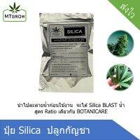 silica blazt สำหรับทำใบ ทำดอก สูตร botanicar (แบบผงไปผสมน้ำก่อนใช้)