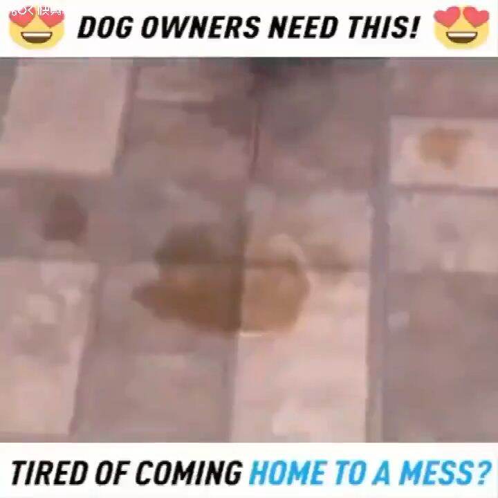 Potty Spray 120ml Pet Potty Trainer for Dogs Pet Defecation inducer