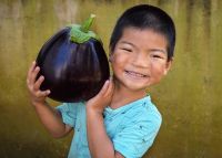 เมล็ดพันธุ์มะเขือม่วงยักษ์แอสวาด Aswad Eggplant Seed บรรจุ 30 เมล็ด ของแท้ คุณภาพดี ราคาถูก นำเข้าจากต่างประเทศ